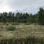 Фото №2 Требуется вспашка участка