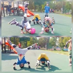 Фото №3 Инструктор тренер по роликам и скейту