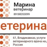 Ветеринарный врач