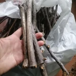 Фото №6 Веточки фруктовые. Цена за штуку.