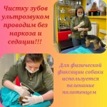Фото №7 Груминг услуги