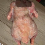 Фото №2 Маточник 3-3,5кг+