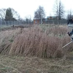 Фото №4 Покос Травы, Бурьяна, Сухостоя