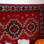 Фото №10 Срочно сдам комнату (подселен: прожив с хоз-кой) в ч/д 6 кв.м 18-я Линия ЦАО