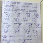 Репетиторство и помощь по биологии и химии