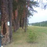 Фото №2 Встреча в Арзамасе, Нижнем Новгороде