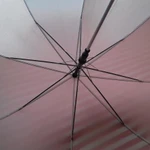 Фото №6 Свадьба:Палатка, зонты белые, стол 180, люстра для цветов, мольберт для рассадки