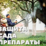 Фото №2 Уход за Садом