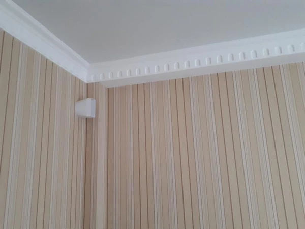 Фото Поклека обоев. 