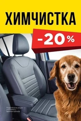 Фото Химчистка автомобиля