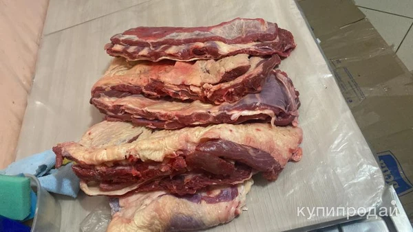 Фото Говядина