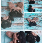 Фото №2 Французский бульдог