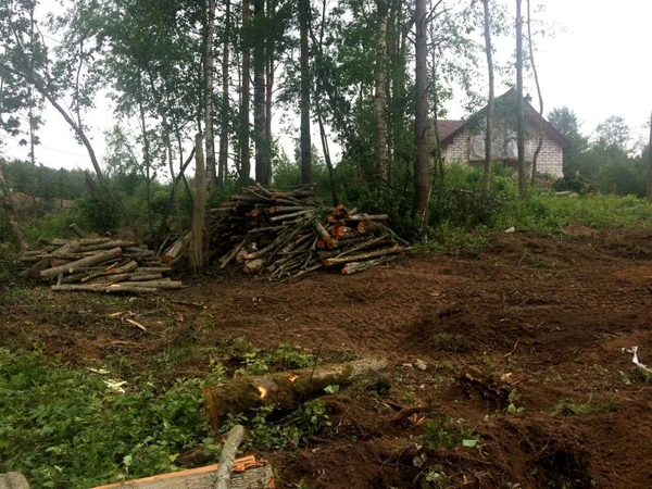 Фото Удаление деревьев, Расчистка участка