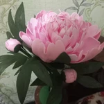 Фото №5 Светильники из изолона ручная работа