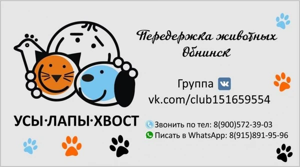 Фото ПЕРЕДЕРЖКА ЖИВОТНЫХ