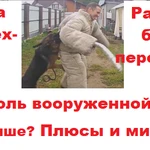 Фото №4 Индивидуальная дрессировка собак в г. Электросталь