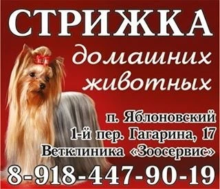 Фото Стрижка животных Профессиональный грумер