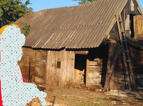 Фото ломаем дома сараи вывоз мусора