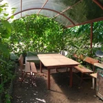 Фото №2 Продаю дачу СНТ Нефтяник