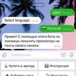 Создание чат бота Telegram. Бесплатно Тестовый бот