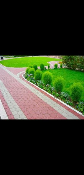 Фото Укладка асфальта трат плитка