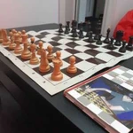 Профессиональный тренер по шахматам