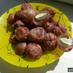 Фото №4 гриб Весёлка