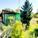 Фото №8 Дача 6 соток, СНТ Центральный, Дубовский р-н, Волгоградская обл.