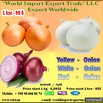 фото Лук репчатый оптом