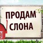 Помогу продать любую Вашу вещь, на ваших Условиях