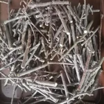 Фото №2 Веточки чёрной смородины.