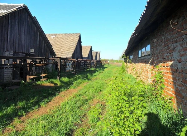 Фото Кирпичный завод, база для стройорганизации (гаражи, контора)