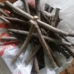 Фото №2 Веточки фруктовые. Цена за штуку.