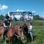 Услуги по перевозке пассажиров 