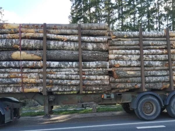 Фото Береза кругляк на дрова