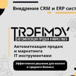 Внедрение CRM, ERP систем - Amo CRM, Битрикс24, др