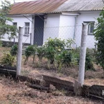 Фото №4 Дом 80 м2