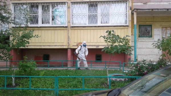 Фото Заказать обработку от клещей.сэс в щелково