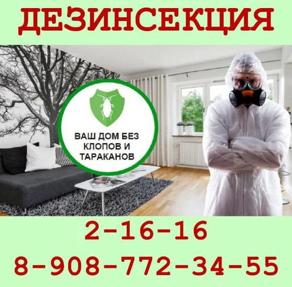 Фото ДЕЗИНСЕКЦИЯ