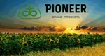 фото Гибриды семян кукурузы Pioneer,Syngenta и отечественные пр.