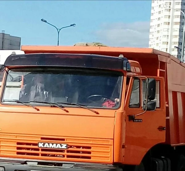 Фото   Доставка