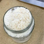 Фото №5 Ежовик Гребенчатый оптом или СТМ