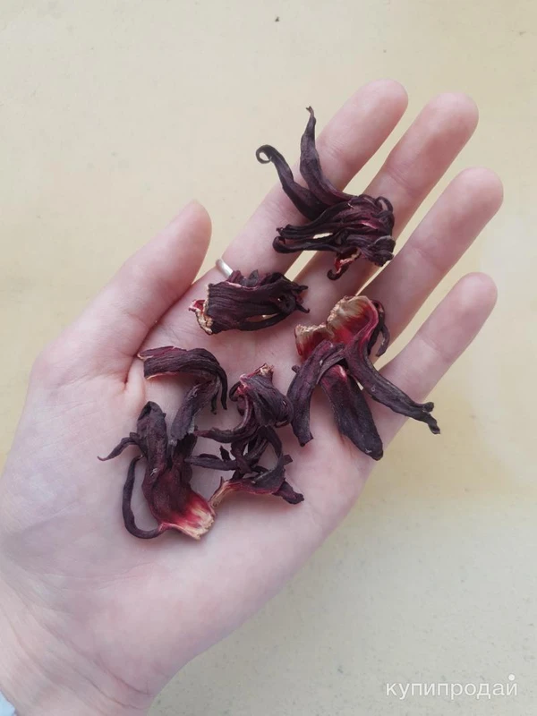 Фото Красный чай Каркаде из Нигерии. Оптом