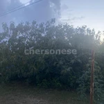 Фото №6 Лот  74853 Продается земельный участок 5,5 соток в СНТ Икар-2.