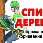 Спил и санитарная обрезка деревьев, кустарников