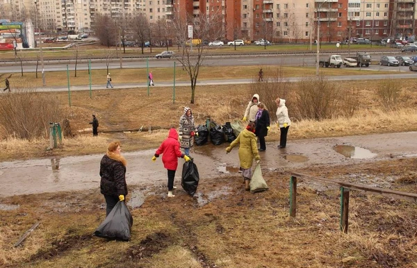 Фото Землекопы. Копка септиков в ручную.