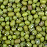 Фото №4 зеленый бобы (маш)