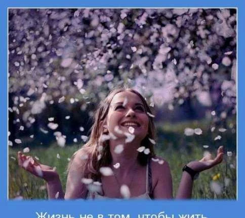 Фото Стихи, тосты, сценарии на заказ