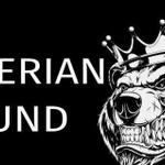 Студия автозвука Siberian sound