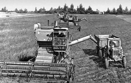 Фото Совхоз 8000 га. Псковская область, Опоченский район.